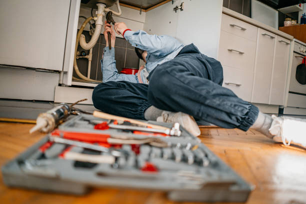  Santa Paula, CA Plumbing Pros